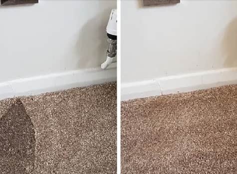 Carpet Burn Restoration